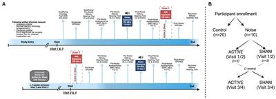 Examining the utility of near infrared light as pre-exposure therapy to mitigate temporary noise-induced hearing loss in humans